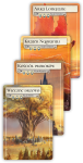rebel-gra-strategiczna-evenfall-asset4.png