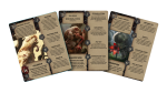 czerwona-twierdza-wiedzmin-stary-swiat--na-tropie-potworow-karty1.png