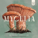 czerwona-twierdza-mycelia.jpg