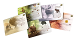 everdell-zimowy-szczyt-edycja-kolekcjonerska-karty.png