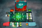 alt=kelp-widok-z-gory.jpg