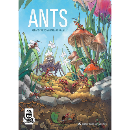 alt=ants-pudelko.png