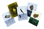 rebel-dodatek-zona-zyczenie-szperacza-asset3.png