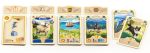 rebel-gra-strategiczna-gwt-nowa-zelandia-asset3.png